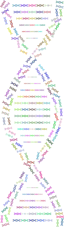 DNA Helix Fractal Prismatic