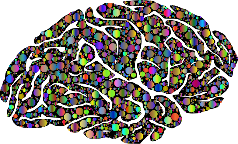 Brain Silhouette Circles Type II Polyprismatic With BG