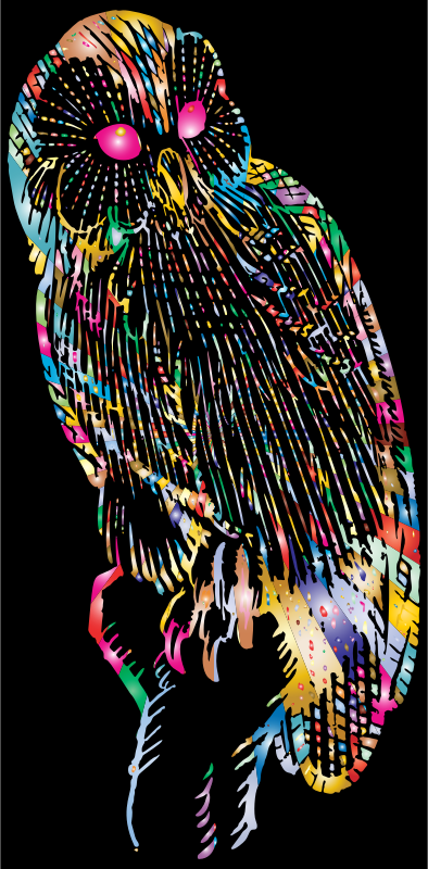 Vintage Owl Line Art Prismatic