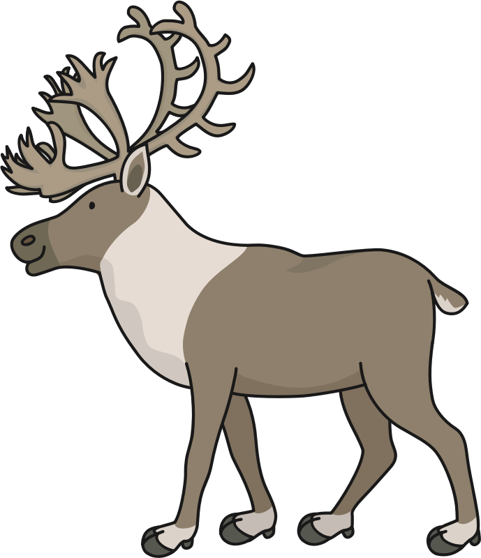 Reindeer (#3)