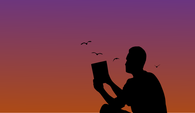Man reading a book in sunset