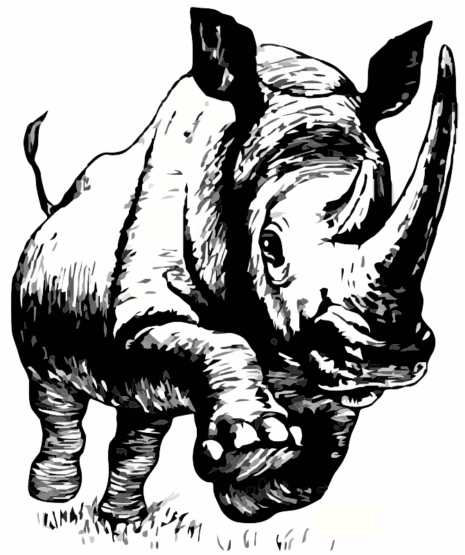 A Rhino