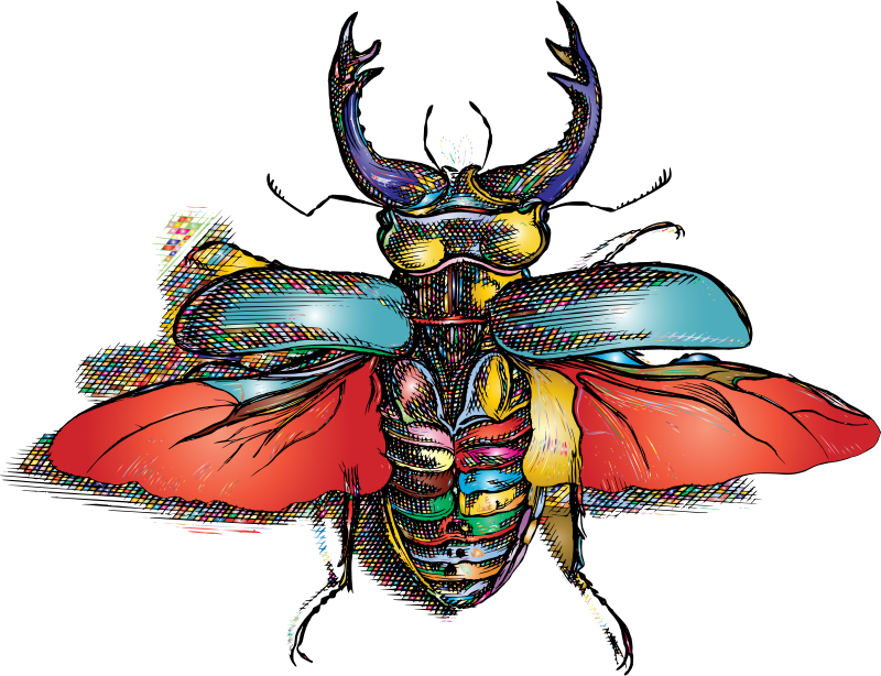 Beetle Spreading Wings Prismatic