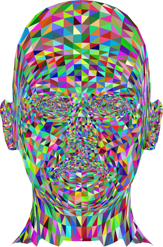Wireframe Man Head Colorful