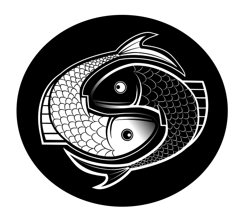 FISH SPIN - YING YANG REMIX