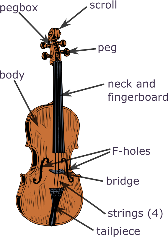 Parts of the Violin