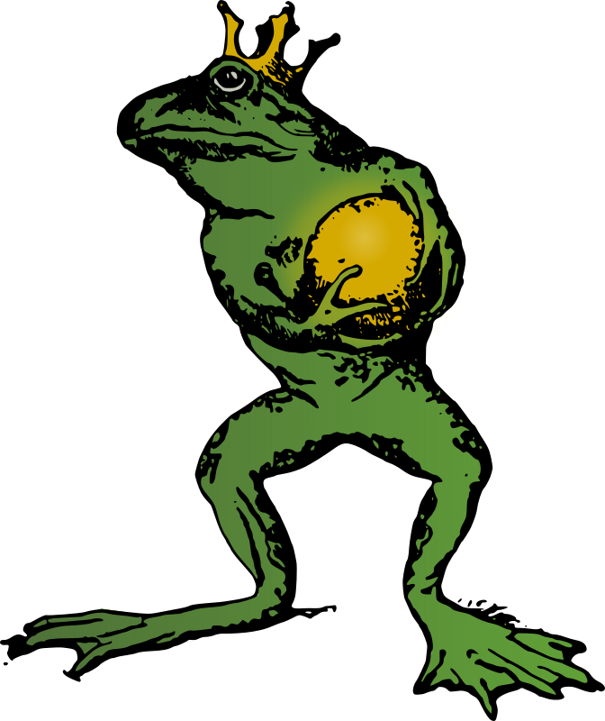 Prince Frog - Colour Remix