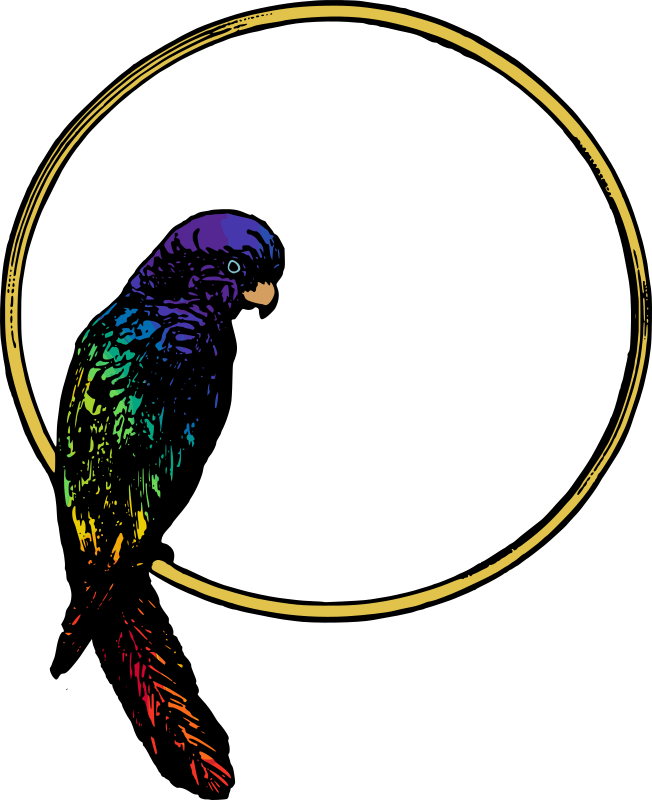 Parrot Frame - Colour Remix