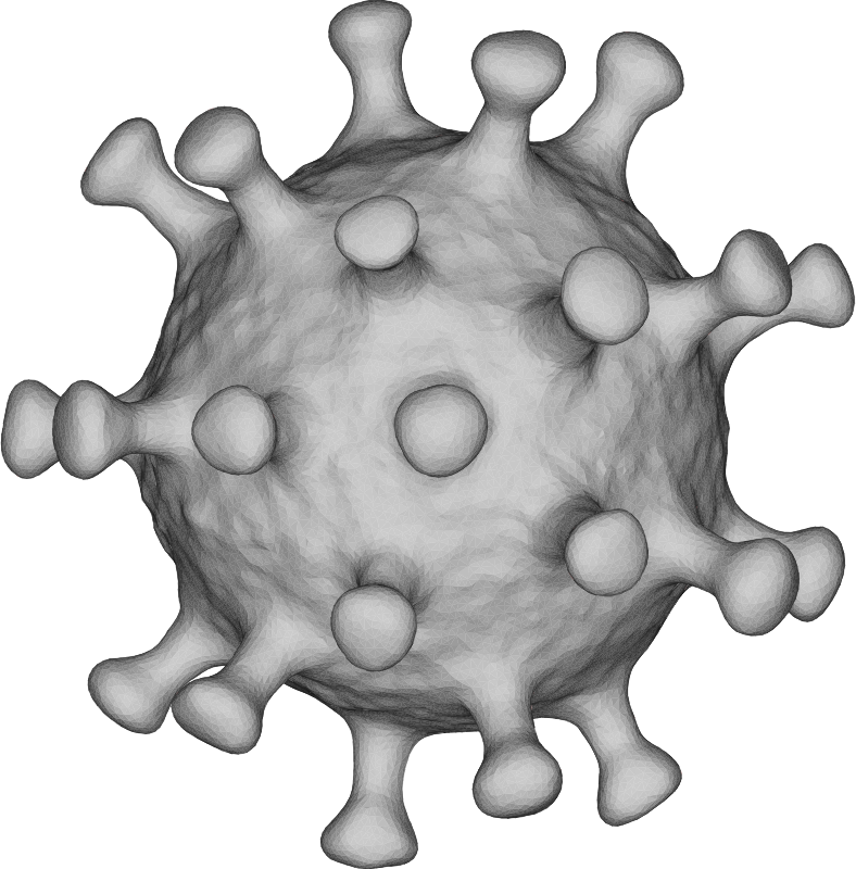 Coronavirus 3D