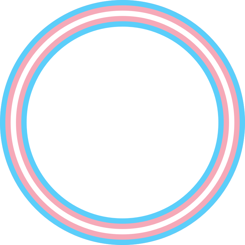 Trans pride inner circle frame bordet