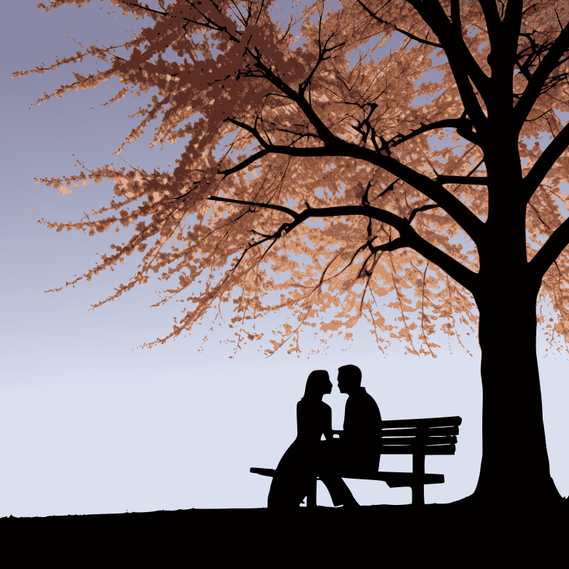 Romantic Couple Under the Blossoms