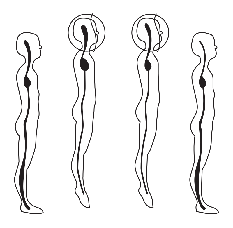 Body postures