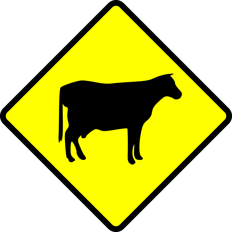 caution-cows crossing