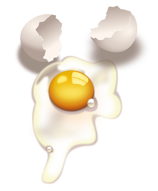 egg -uncooked