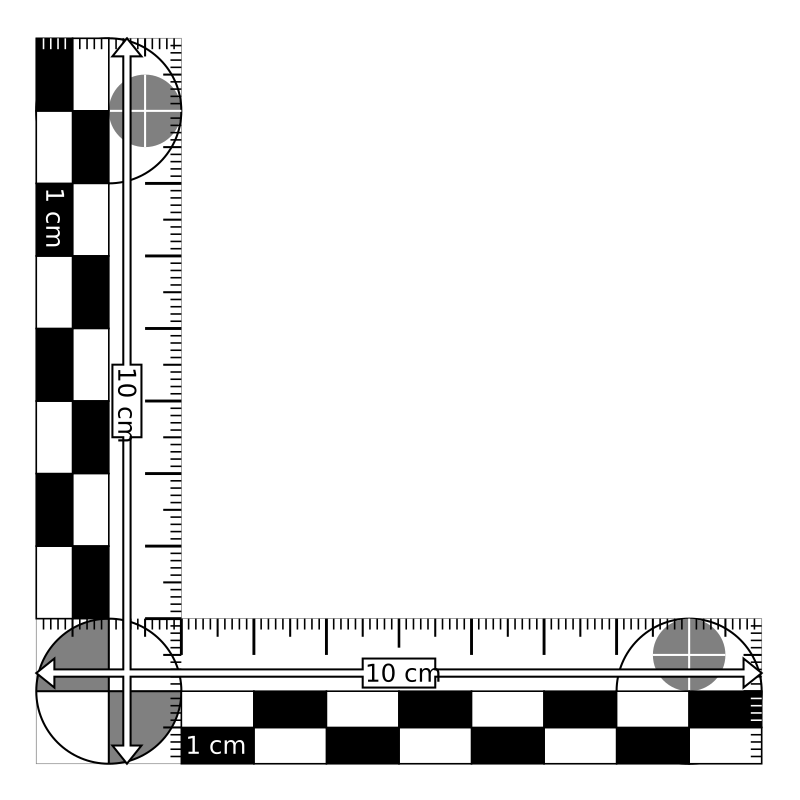 Photomacrographic scale 10x10cm