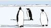 Pinguine Alt Pinguine