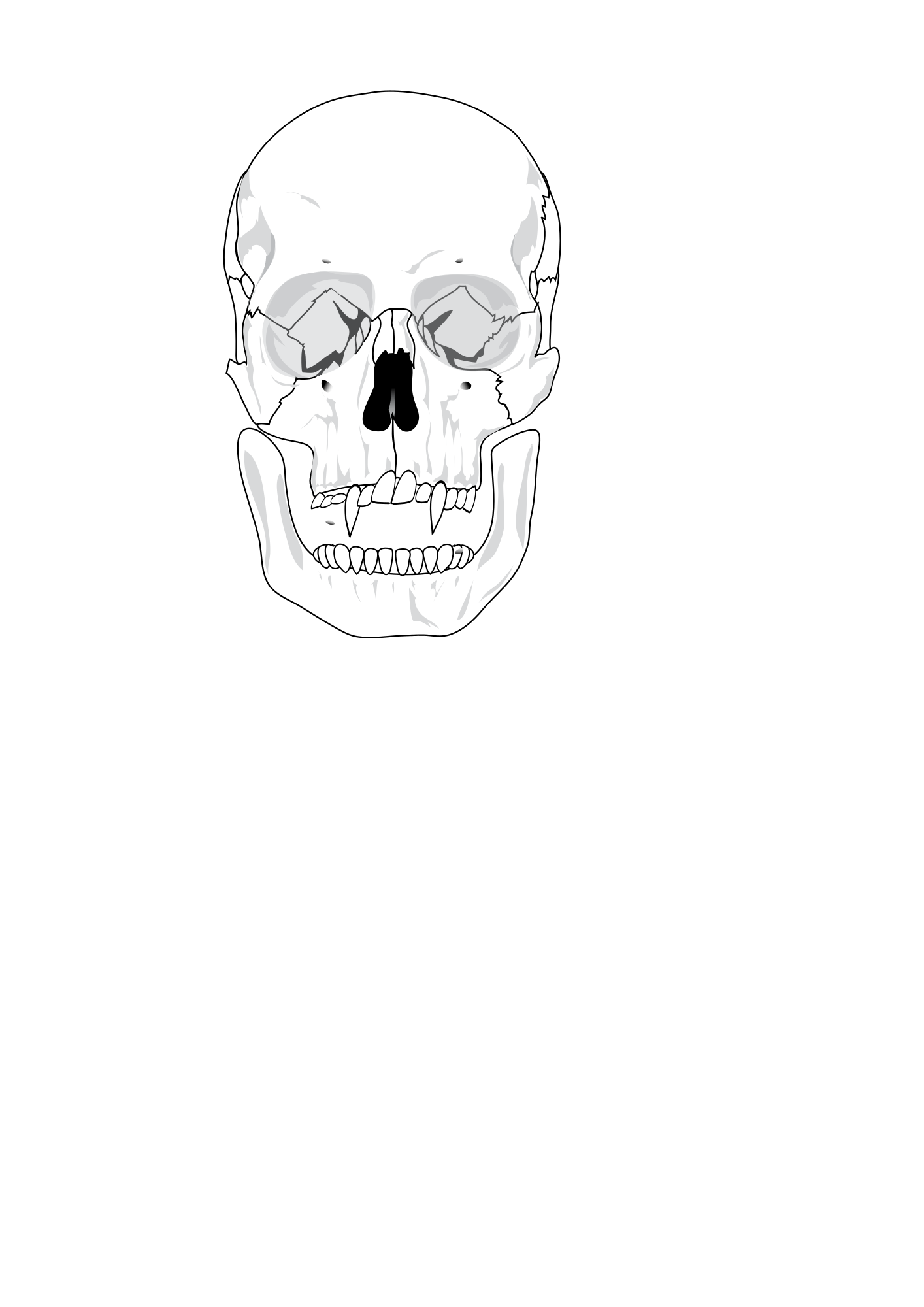 evil skull wallpaper