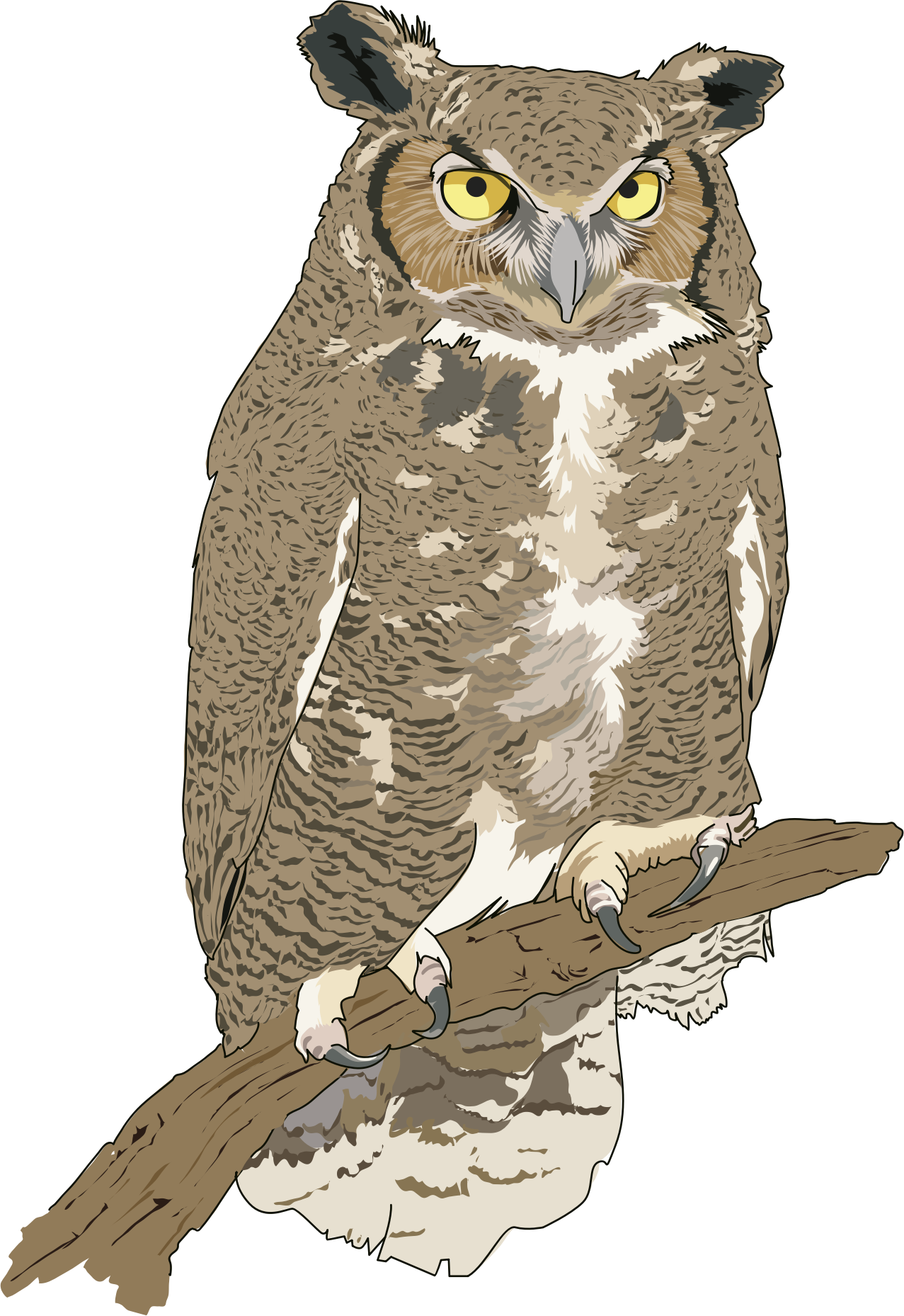 Hibou Grand Duc Eagle Owl Openclipart