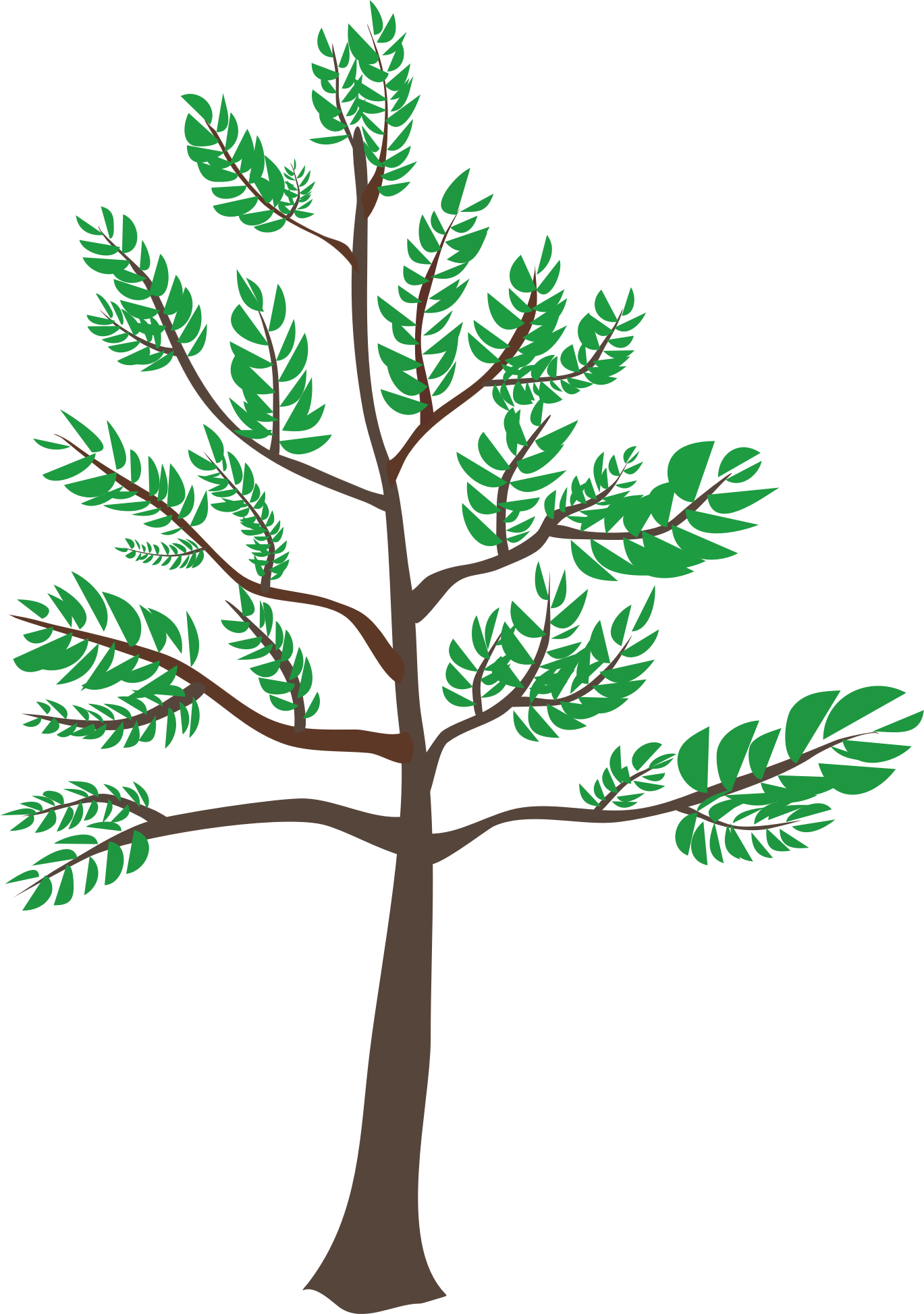 simple cedar tree drawing