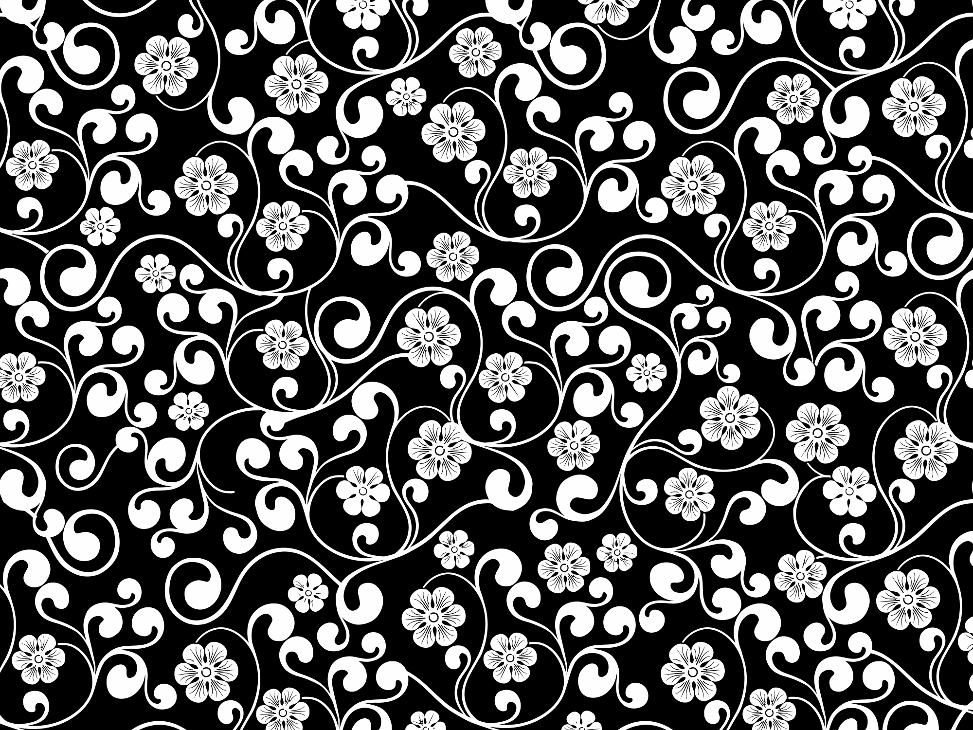 black and white flower outline