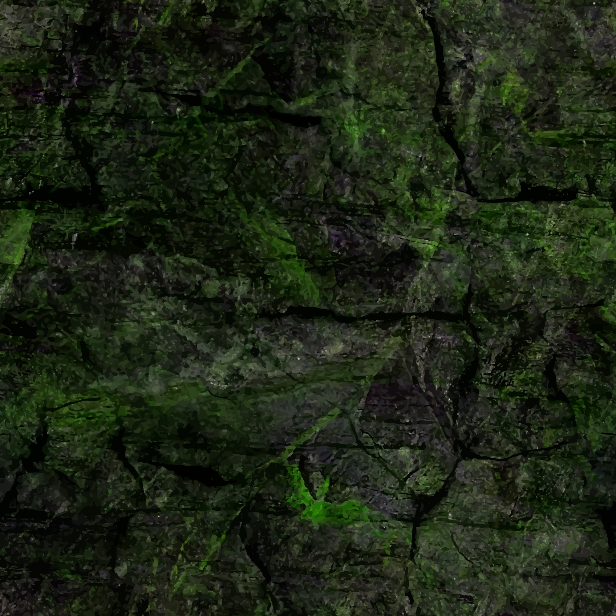 Texturex rock algae moss macro stone grunge camo city Texture - Texture X