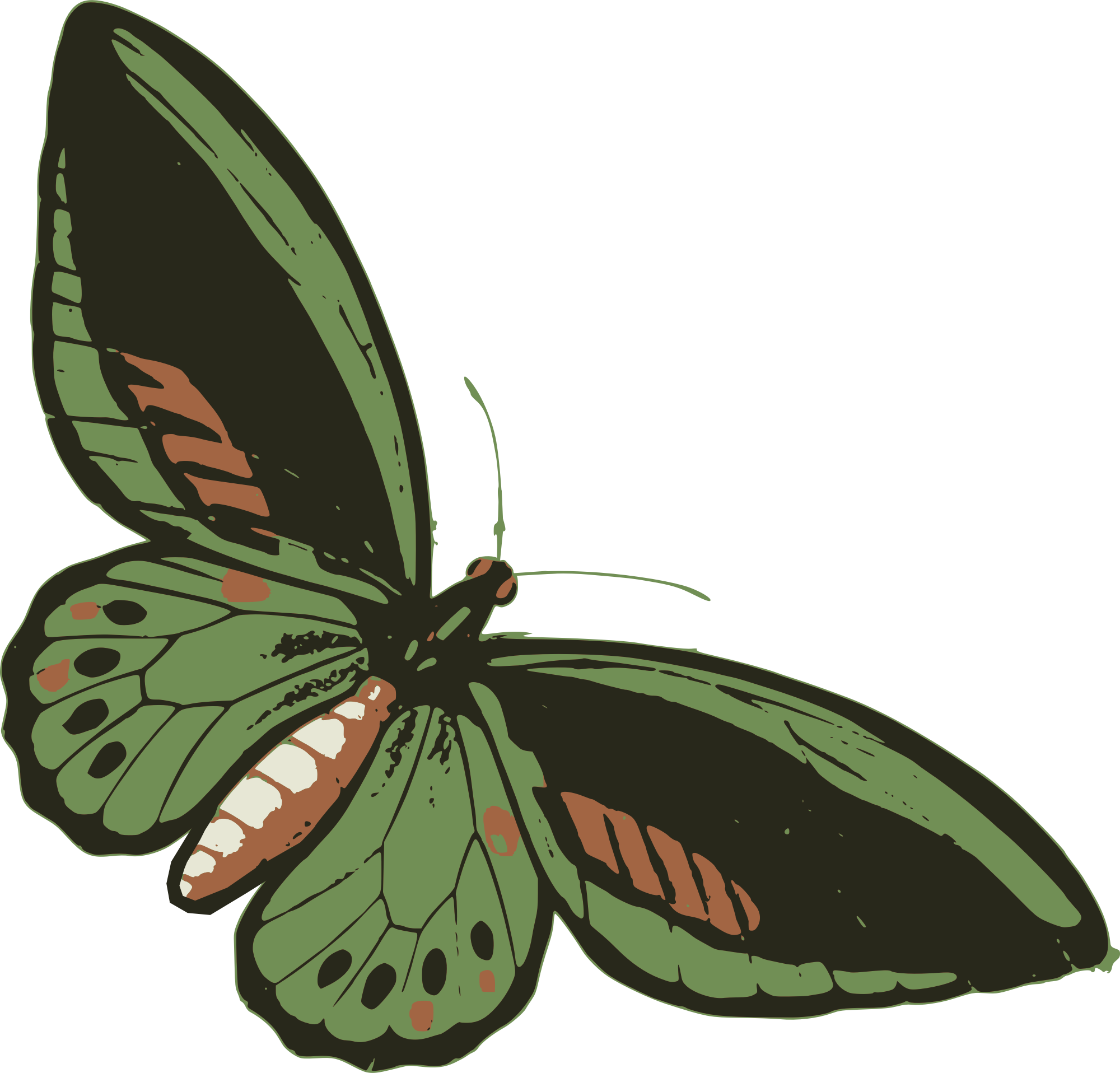 green butterflies clipart