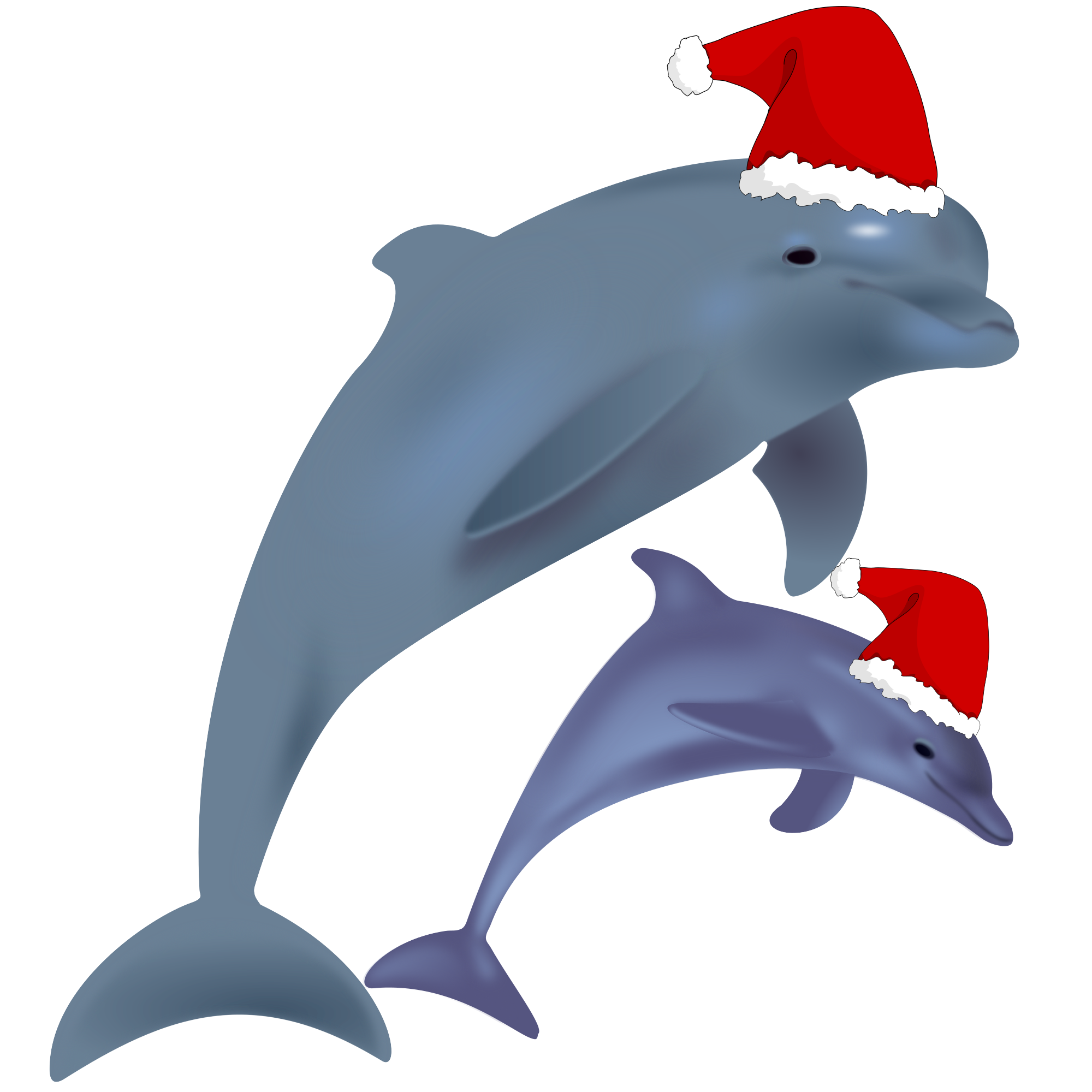 Dolphins Santa Hats 