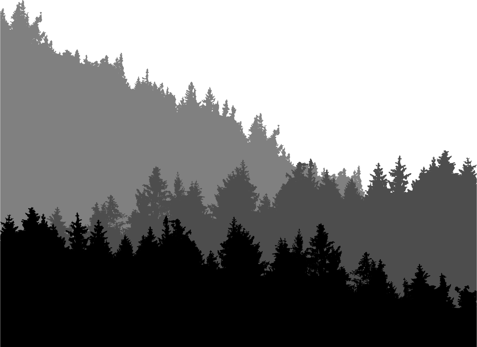 Forest Treeline Silhouette 3 - Openclipart