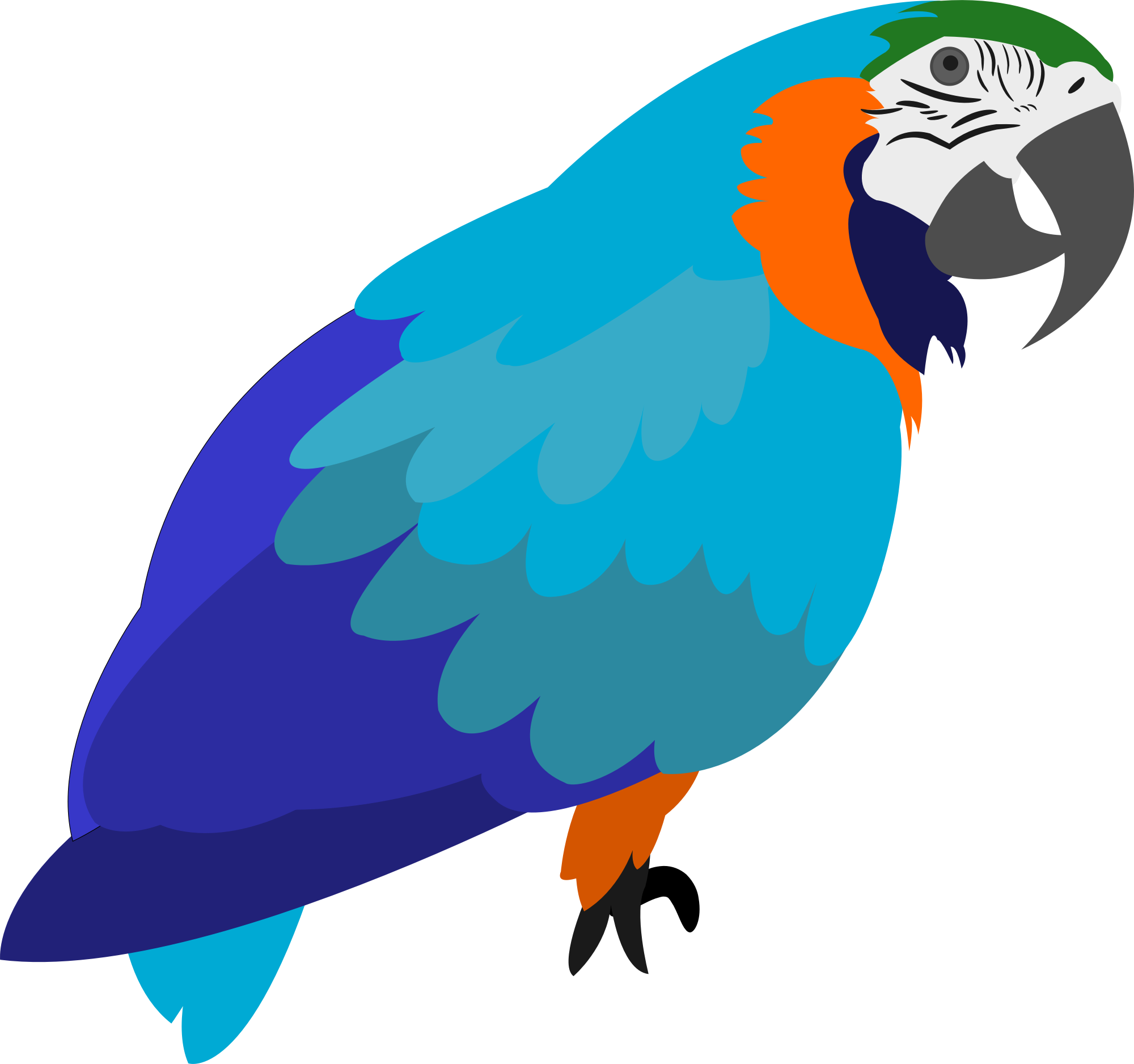 Cartoon Parrot - Openclipart