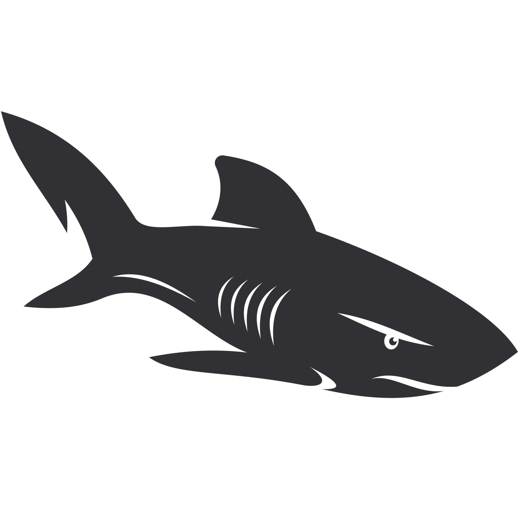 shark outline