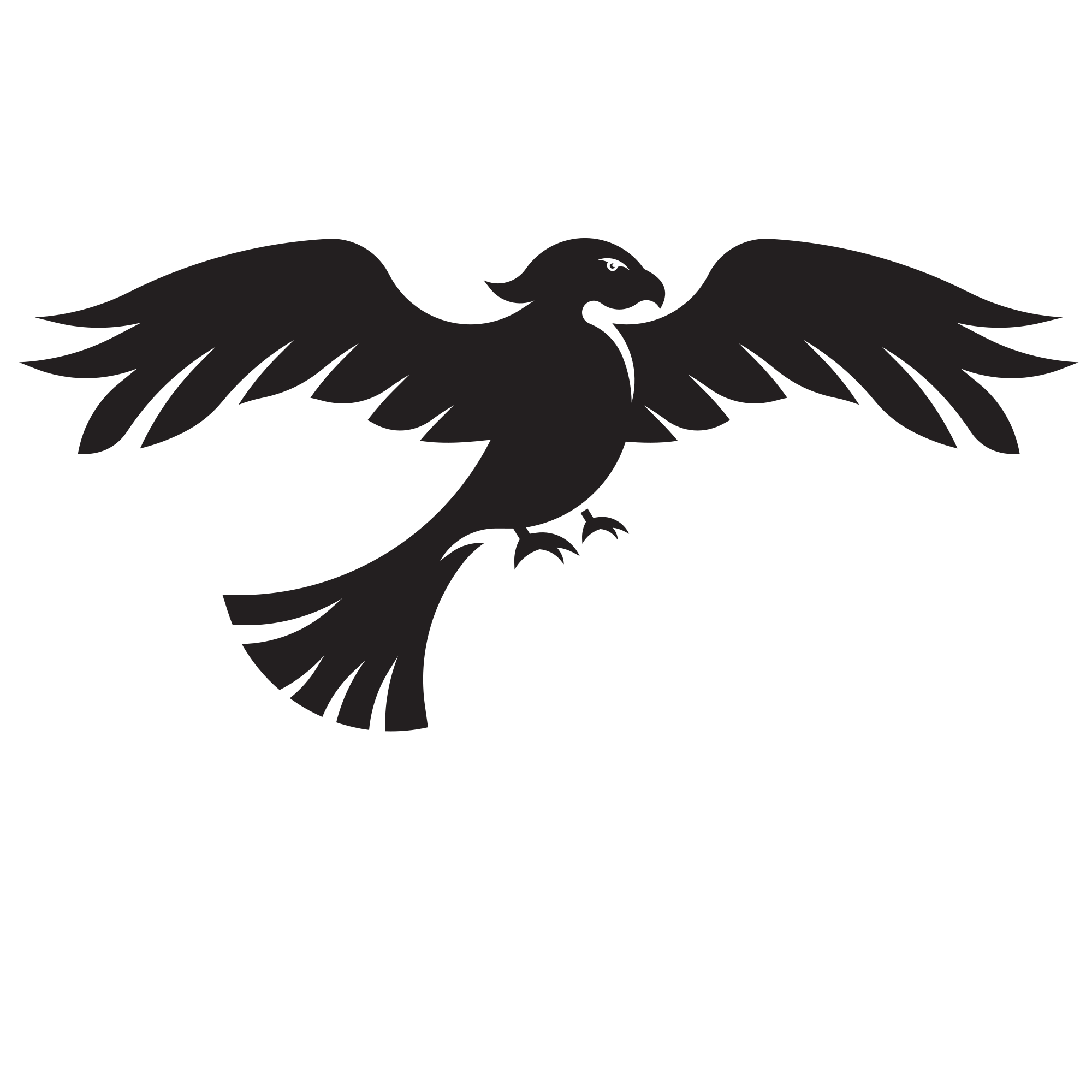 Hawk Silhouette Png