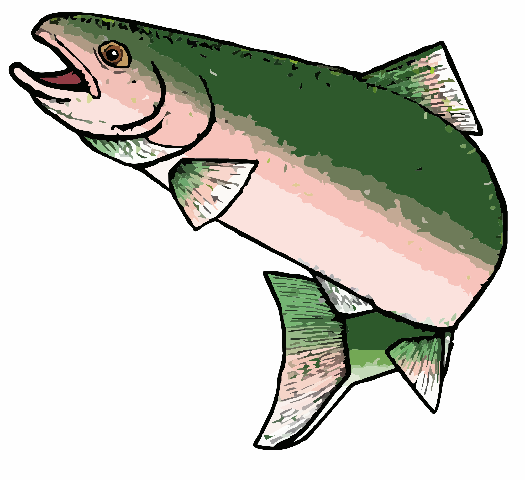 Fish Clipart Photo Image - rainbow-trout-eggs - Classroom Clipart