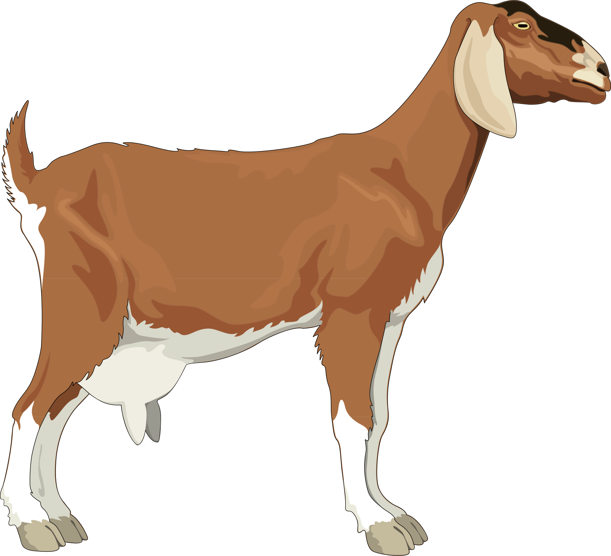 dairy goat clipart