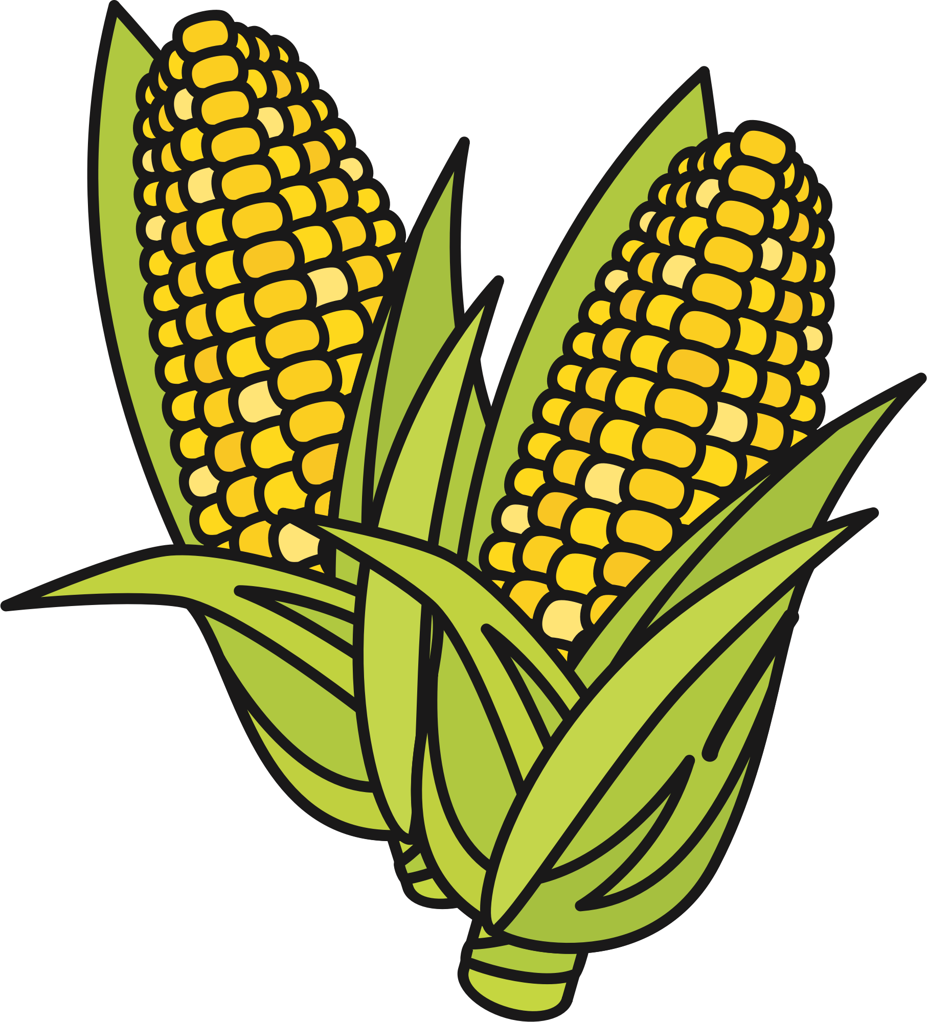 corn clipart