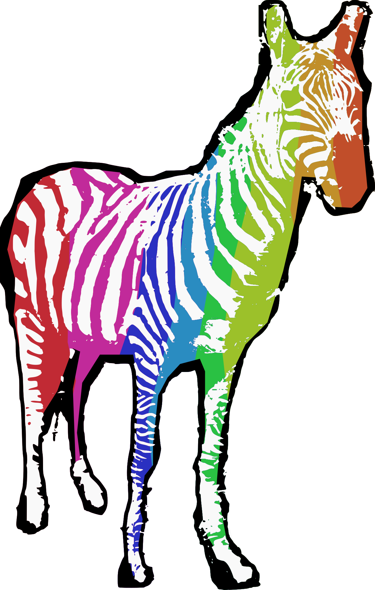 Rainbow Zebra | Poster