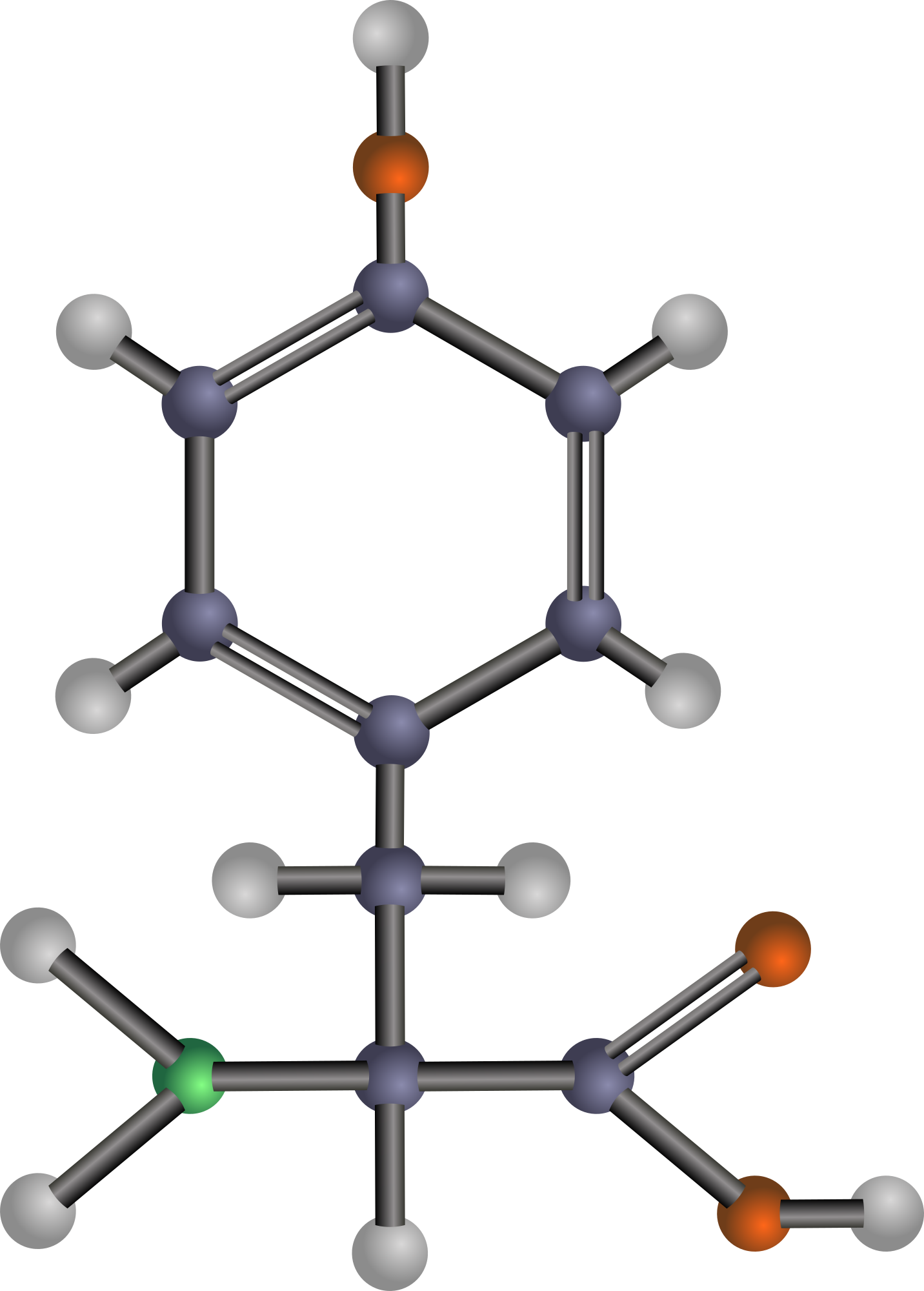 tyrosine amino acid structure