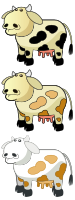 Colour Cows