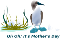 Sea Bird