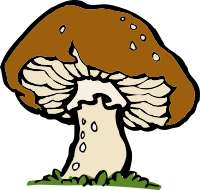 big mushroom