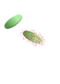 Laponite+PEG