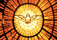 Dove in Glasswindow