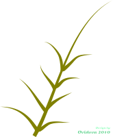 green plant