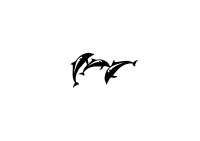 Dolphins