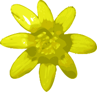 flower-02