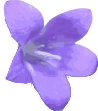 flower-03