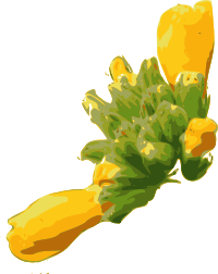 flower-05