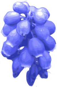 flower-06