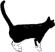 Buchi neko