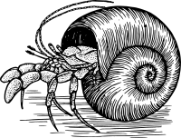 Hermitcrab