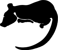 rat